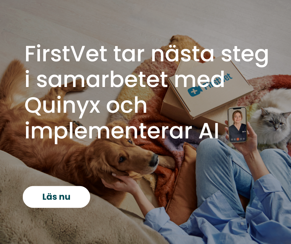FirstVet AI