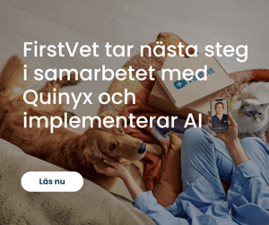 FirstVet AI
