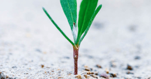 Untitled design (1)-1