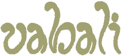 Vabali Spa