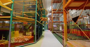 Indoorspielplatz rabatzz! vereint Dienstplanung und Kommunikation in einer smarten App - mit Quinyx