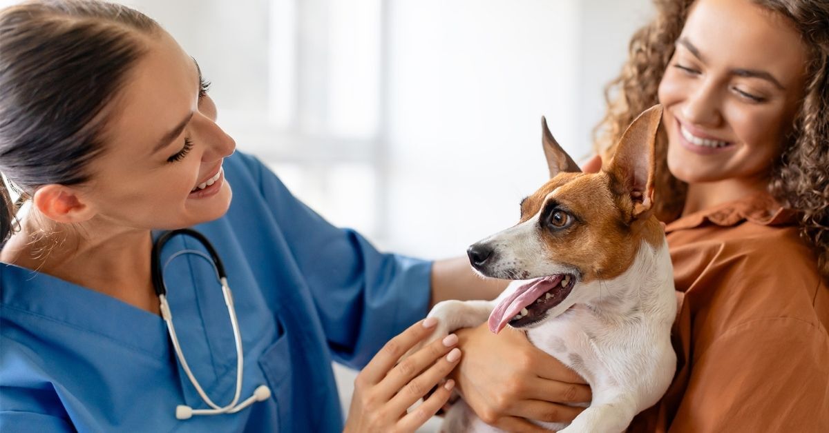 veterinarians with dog; source: Tierarzt Plus Partner
