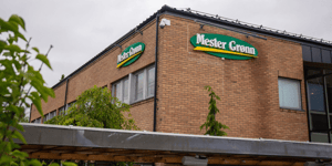 mester-gronn-office-1